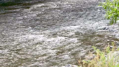 Clear stream　4K Stock Footage 152293846