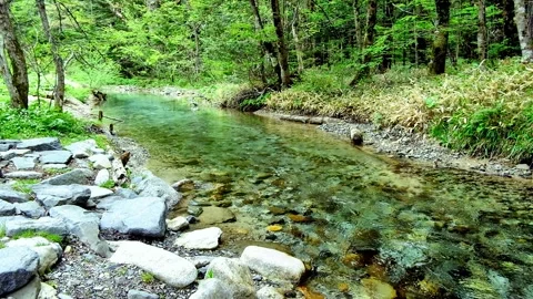 Clear streams and fresh greenery, Kamikochi, Tokusawa Video stock 328232117