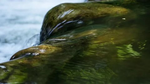 Clear streams flowing over the rocks at the bottom of the valley Stock Footage 234694023
