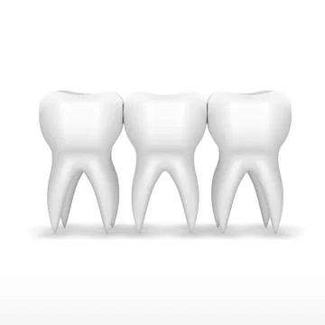 Clear Three White Teeth With Shadow Stock Illustration