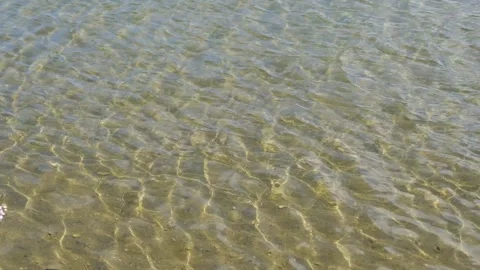 Clear Tidal Water Texture with Gentle Ripples Video stock 324806948