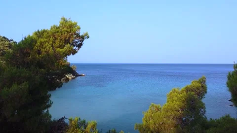 Clear tranquil sea through the branches of pine trees. Aerial view Stock Footage 138956540