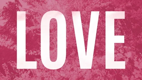 Clear translucent word Love over a pink background with animated blooms. Stock Footage 152193496
