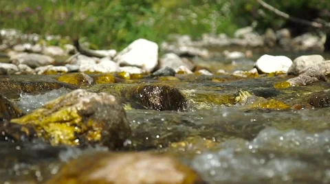 Clear Transparent Water Flows in the Mountain Small River Video stock 66276325