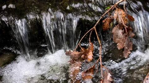 Clear transparent water running from a tiny waterfall in a beautiful creek. Stock Footage 170969669