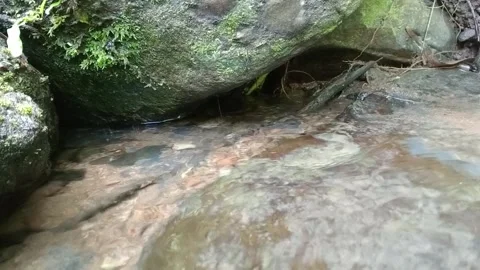 Clear Tropical Forest River Flowing Over Rocks Stock Footage 329766519