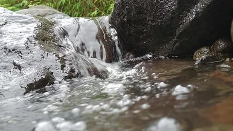 Clear tropical forest stream flowing over natural rocks Stock Footage 329883553