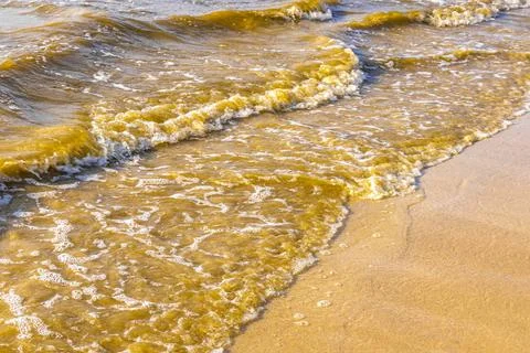 Clear turquoise blue waves wave water and beach sand Thailand. 写真素材