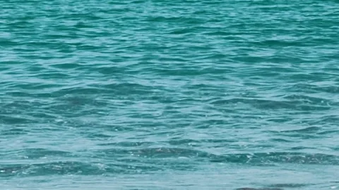 Clear Turquoise Water Gently Laps Against the Shore at a Sunny Beach Location Stock Footage 306593125