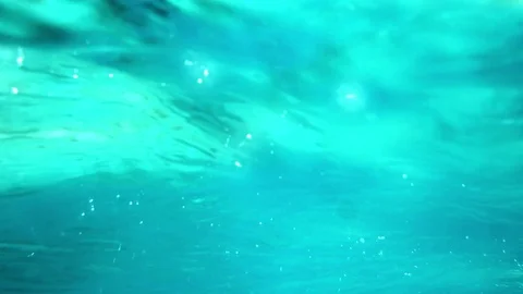 Clear underwater Video stock 77629666