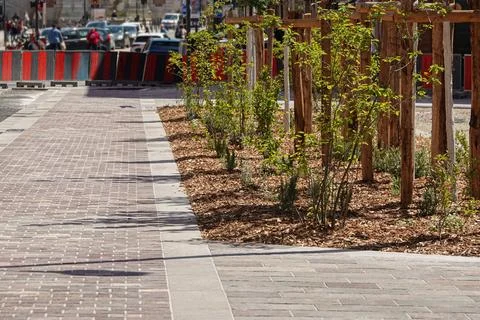 A clear view of a designed walkway features freshly planted greenery beside t Stock Photos