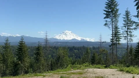 Clear view of Mount Rainier and surrounding forest Stock Footage 277384748