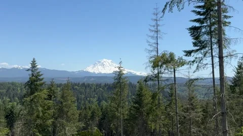 Clear view of Mount Rainier and surrounding forest Stock Footage 278447167