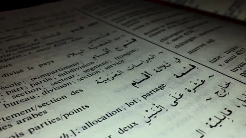 A clear view of the translation book Video stock 134562049