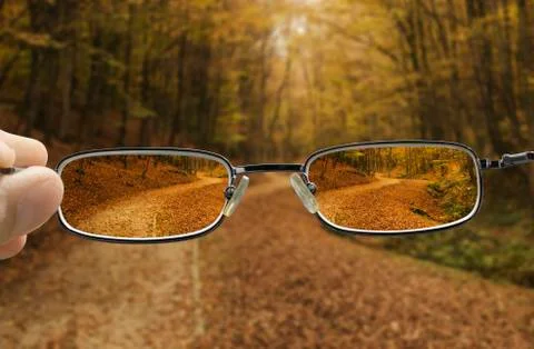 Clear vision of a autumn forest path Stock Photos