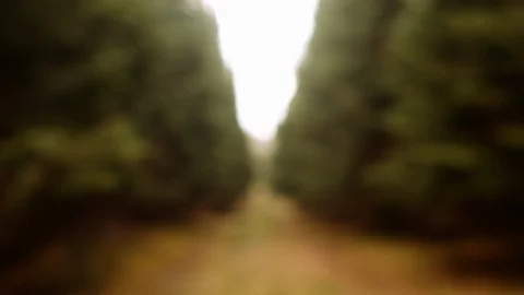 Clear visions Stock Footage 107942333