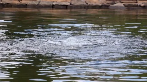 Clear water and bubbles 库存影片 78157895