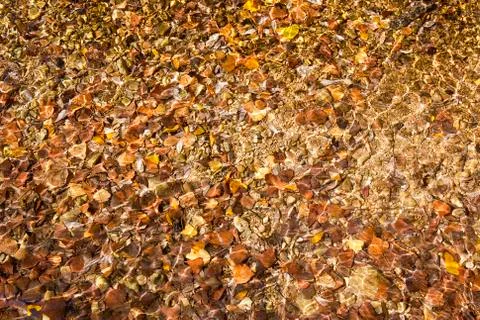 Clear water background Stock Photos