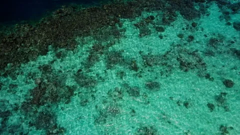 Clear water on the beach of the Maldives Stock Footage 281762508