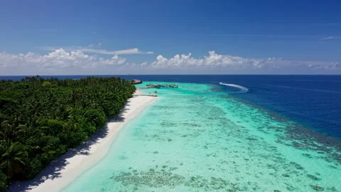 Clear water on the beach of the Maldives Stock Footage 281762659