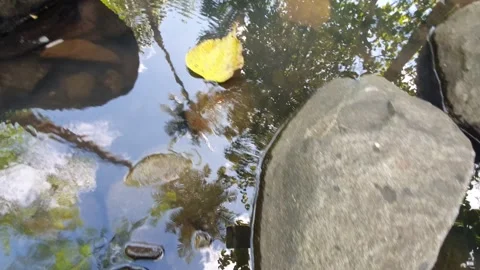 Clear water between river rocks Stock Footage 304256443