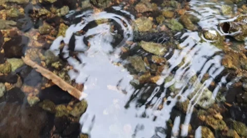 Clear water between river rocks Stock Footage 304266093