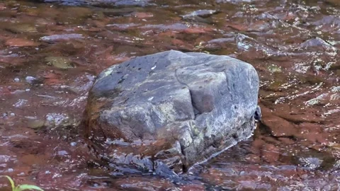 Clear water between the rock. Stock Footage 305722596