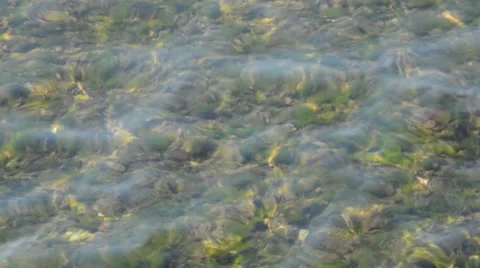 Clear Water Big Wave 库存影片 42182989