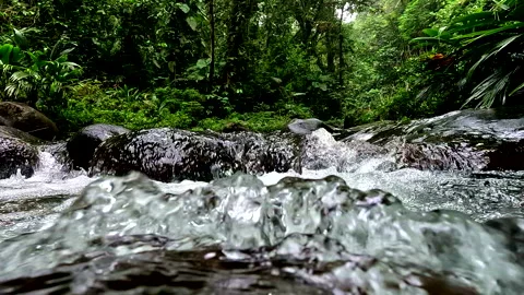Clear water cascade in a tropical forest stream, water conservation Stockbeeldmateriaal 336916489