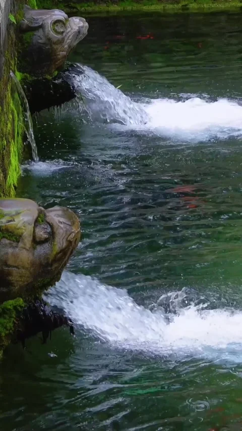 Clear Water Cascading from Ancient Dragon Spouts, Black Tiger Spring Stock Footage 331216475