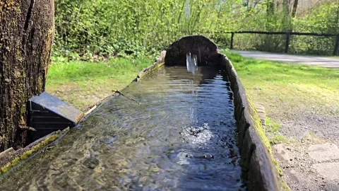  Clear water drips from a pipe into a mossy wooden trough along a sunny f.. Stock Footage 341878232