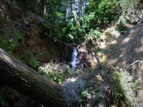 CLEAR WATER FALLING1 Fotos Stock