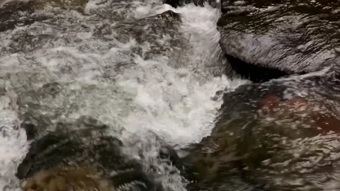 Clear water in fast river Stock Footage 240845535