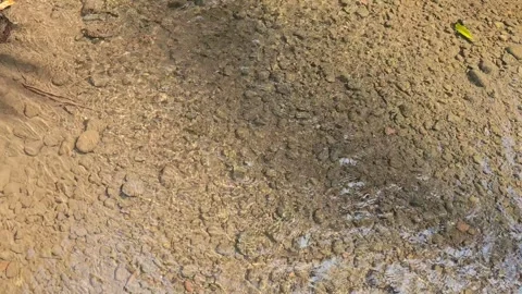 Clear water flow Stock Footage 252379270