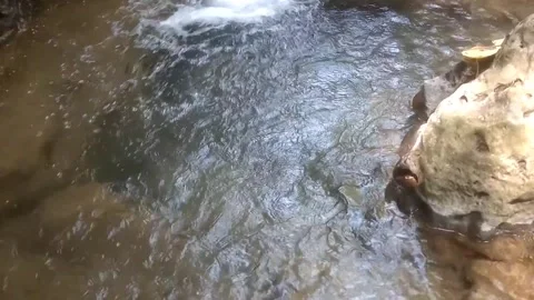 Clear water flow 스톡 동영상 334766934