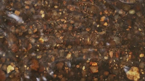 Clear Water Flow Over Pebble Stone Bottom. Seamless Loop Texture Видео 334099849