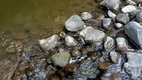 Clear water flow at the river. Stock Footage 265503224