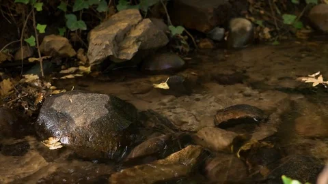 Clear water flowing around large rock autumn leaves England September 2017 Stock Footage 82282645
