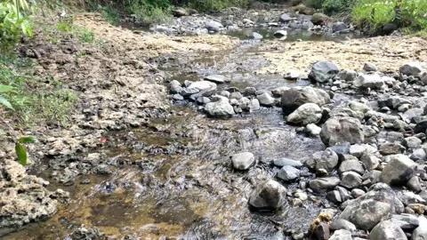 Clear water flowing between the river rocks 20 Stock Footage 207423110