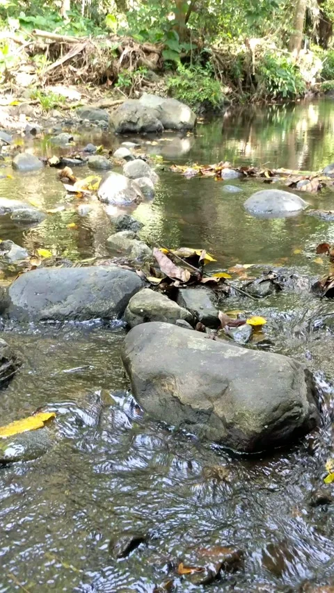 Clear water flowing between the river rocks 19 Video stock 207431151
