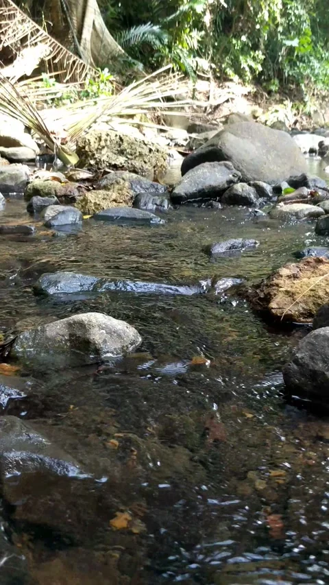 Clear water flowing between the river rocks 16 Stock Footage 207431416