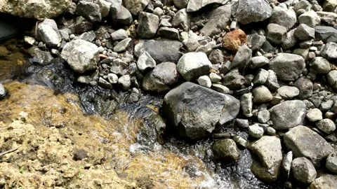 Clear water flowing between the river rocks 14 Stock Footage 207434275