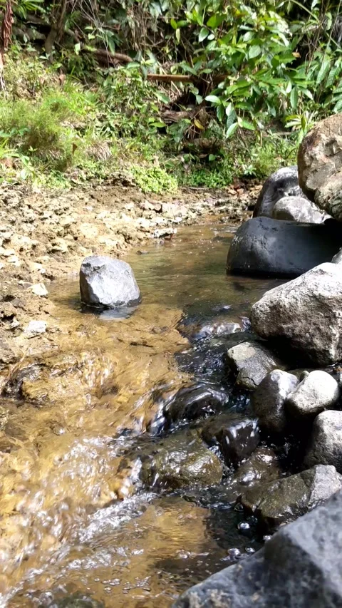 Clear water flowing between the river rocks 13 Video stock 207439305