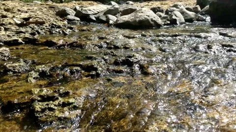 Clear water flowing between the river rocks 12 Stock Footage 207439309