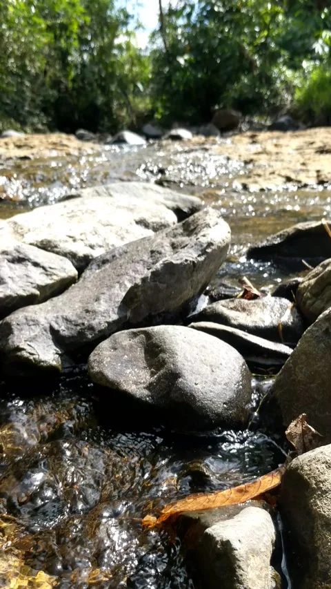 Clear water flowing between the river rocks 11 Stock Footage 207439318