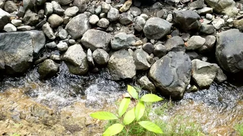 Clear water flowing between the river rocks 10 Stock Footage 207442215