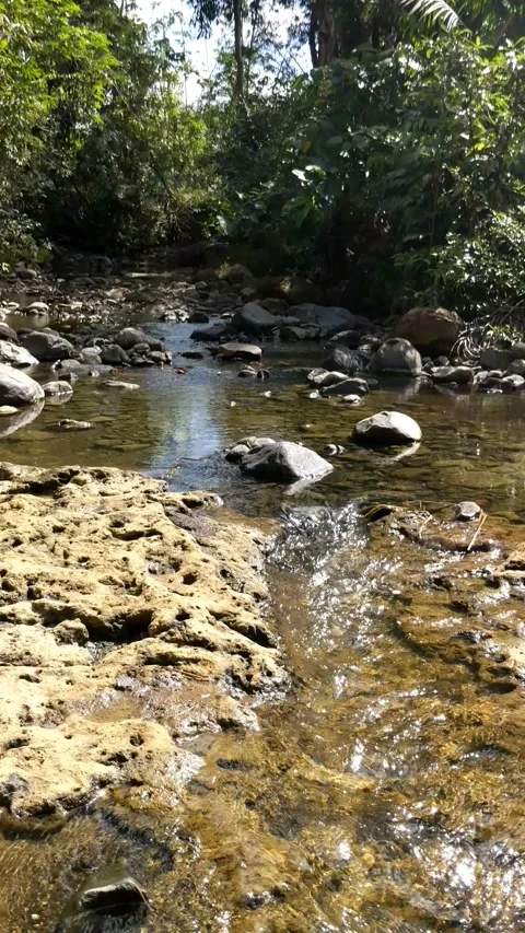 Clear water flowing between the river rocks 9 Video stock 207442710