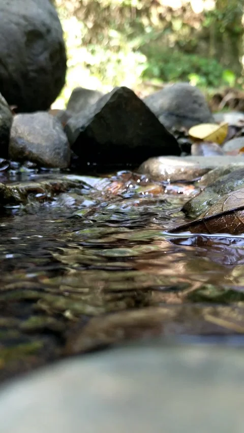 Clear water flowing between the river rocks 8 Stock Footage 207443381