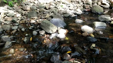 Clear water flowing between the river rocks 6 Stock Footage 207443676