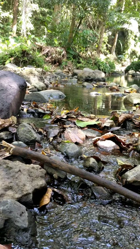 Clear water flowing between the river rocks 4 Stock Footage 207444127